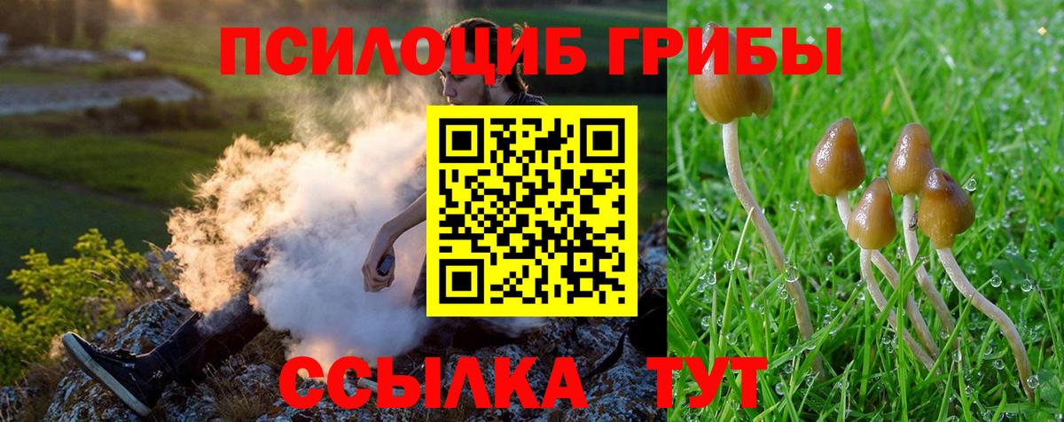 Псилоцибиновые грибы GOLDEN TEACHER  Вход с VPN  Севастополь 